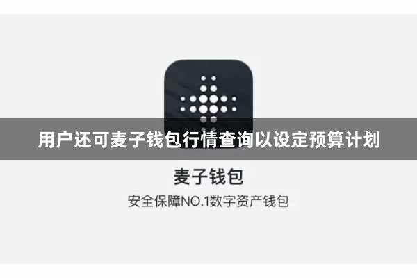 用户还可麦子钱包行情查询以设定预算计划