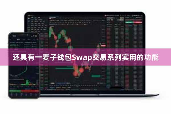 还具有一麦子钱包Swap交易系列实用的功能