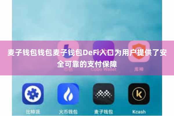 麦子钱包钱包麦子钱包DeFi入口为用户提供了安全可靠的支付保障