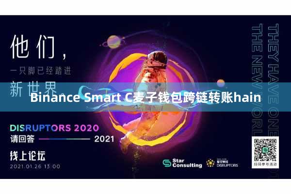 Binance Smart C麦子钱包跨链转账hain