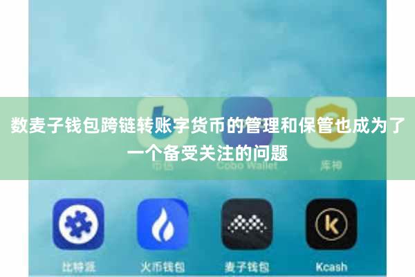 数麦子钱包跨链转账字货币的管理和保管也成为了一个备受关注的问题
