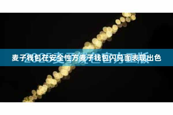 麦子钱包在安全性方麦子钱包闪兑面表现出色