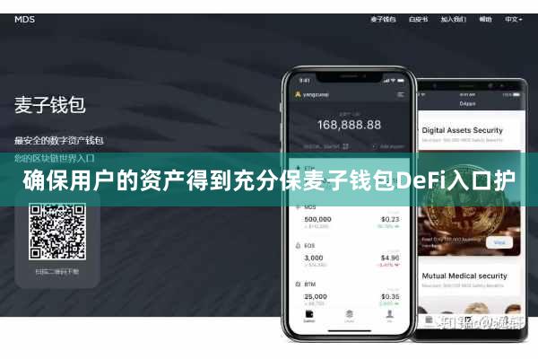 确保用户的资产得到充分保麦子钱包DeFi入口护