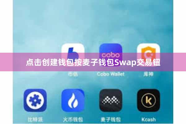 点击创建钱包按麦子钱包Swap交易钮