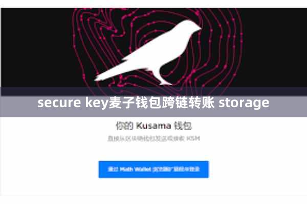 secure key麦子钱包跨链转账 storage