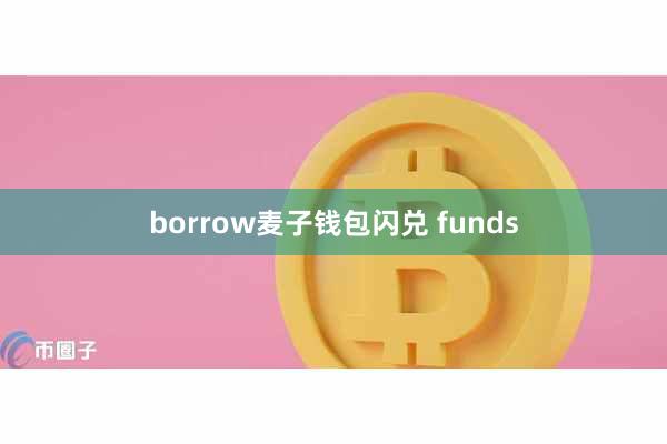 borrow麦子钱包闪兑 funds
