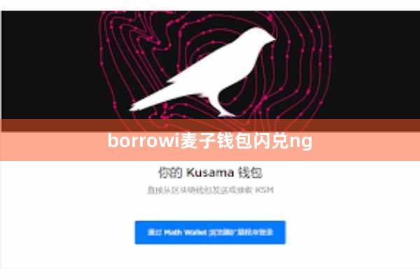 borrowi麦子钱包闪兑ng