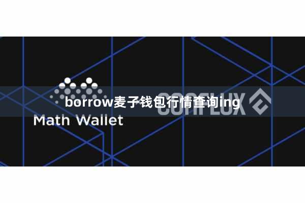 borrow麦子钱包行情查询ing