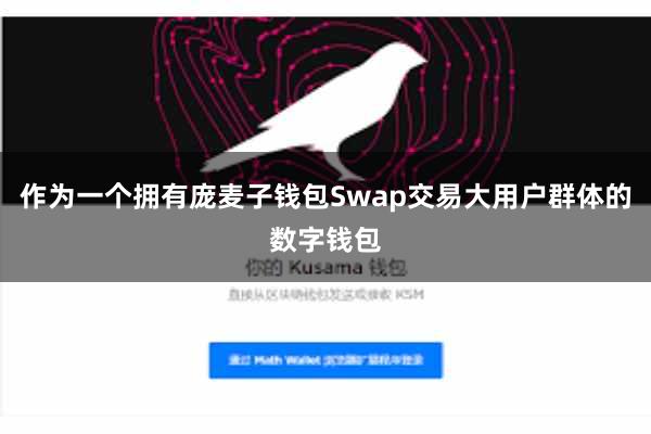 作为一个拥有庞麦子钱包Swap交易大用户群体的数字钱包