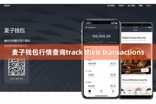 麦子钱包行情查询track their transactions