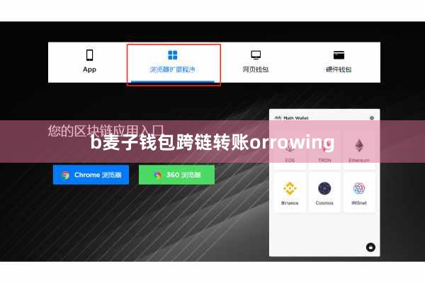 b麦子钱包跨链转账orrowing