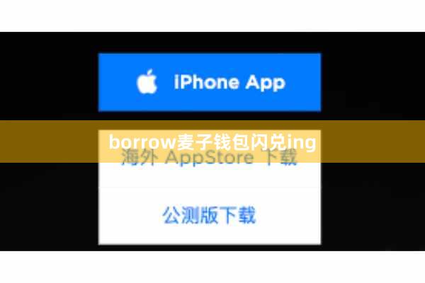 borrow麦子钱包闪兑ing