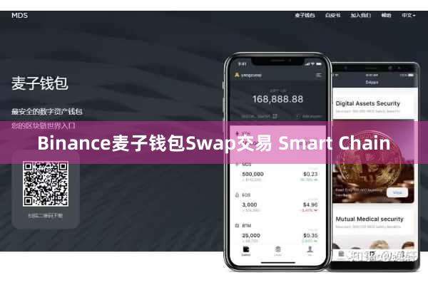 Binance麦子钱包Swap交易 Smart Chain