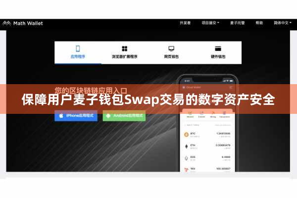 保障用户麦子钱包Swap交易的数字资产安全