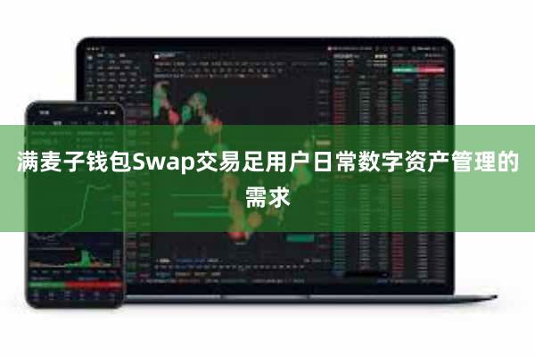 满麦子钱包Swap交易足用户日常数字资产管理的需求