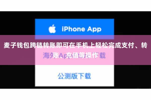 麦子钱包跨链转账即可在手机上轻松完成支付、转账、充值等操作