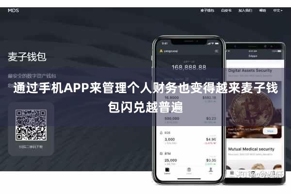 通过手机APP来管理个人财务也变得越来麦子钱包闪兑越普遍