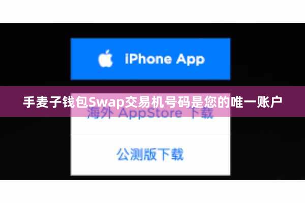 手麦子钱包Swap交易机号码是您的唯一账户