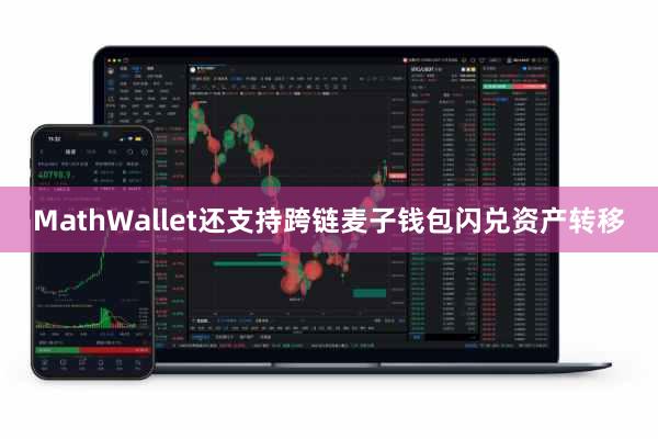 MathWallet还支持跨链麦子钱包闪兑资产转移